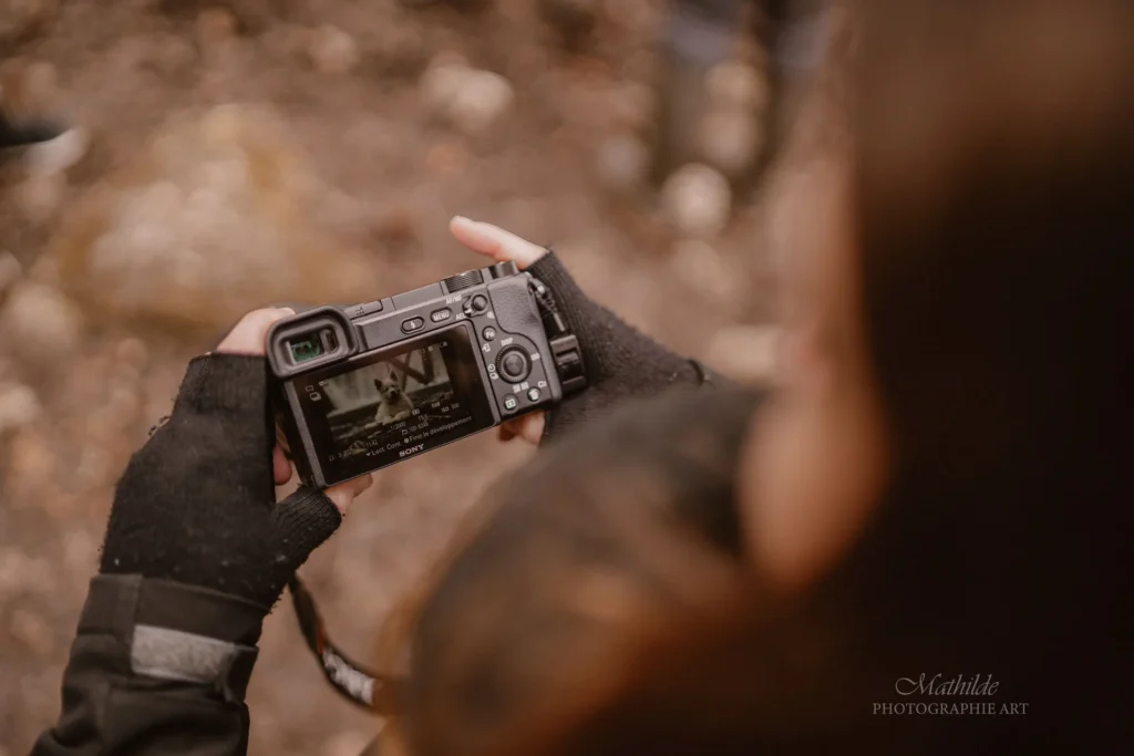 portrait PixelSan photographe animalier chiens et chats