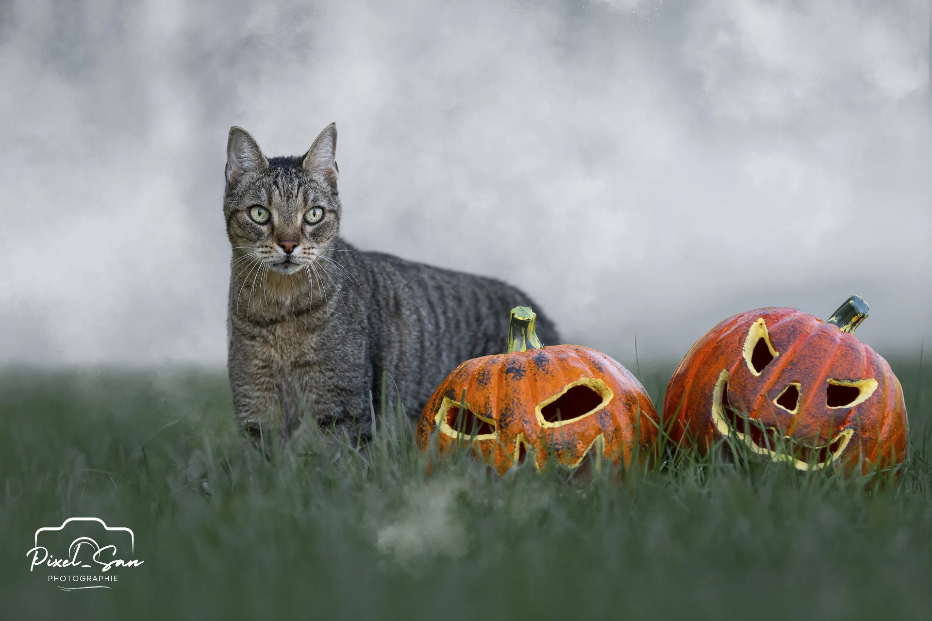 Pixelsan-photo-Indi-Européen-shooting-halloween-PixelSan-1