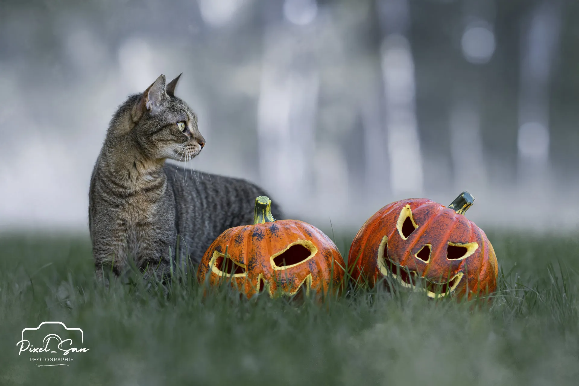 Pixelsan-photo-Indi-Européen-shooting-halloween-PixelSan