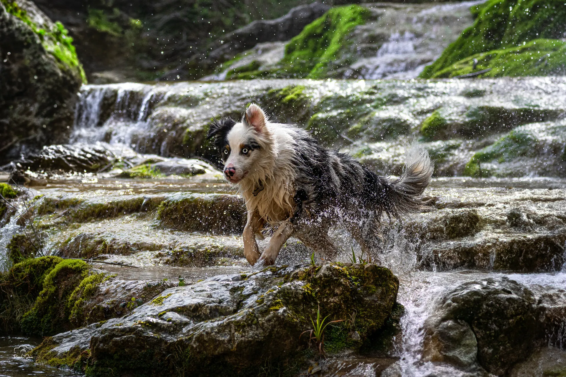 Moment capturé en pleine balade – Drôme