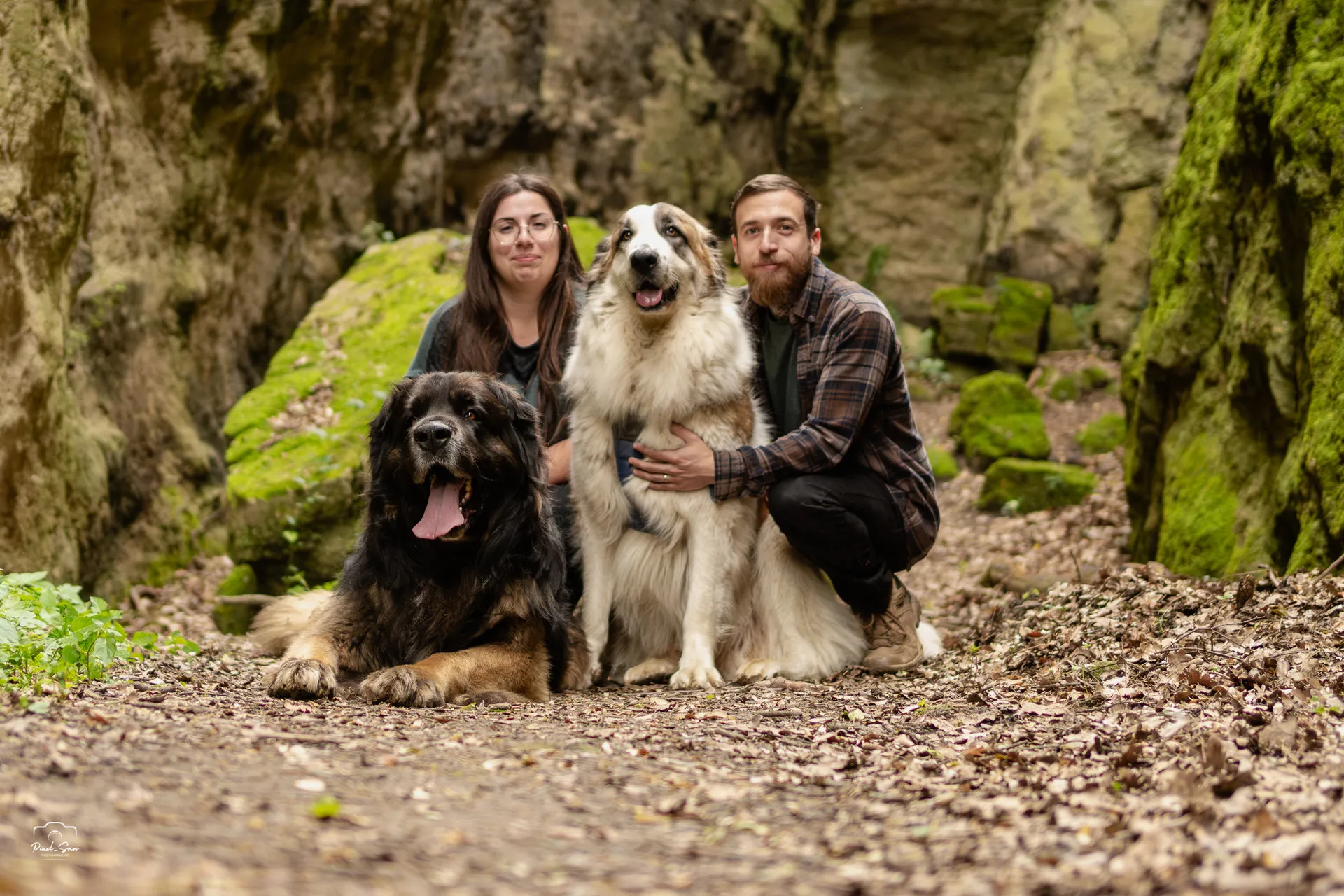 Portrait intime entre chien et humain – Drôme